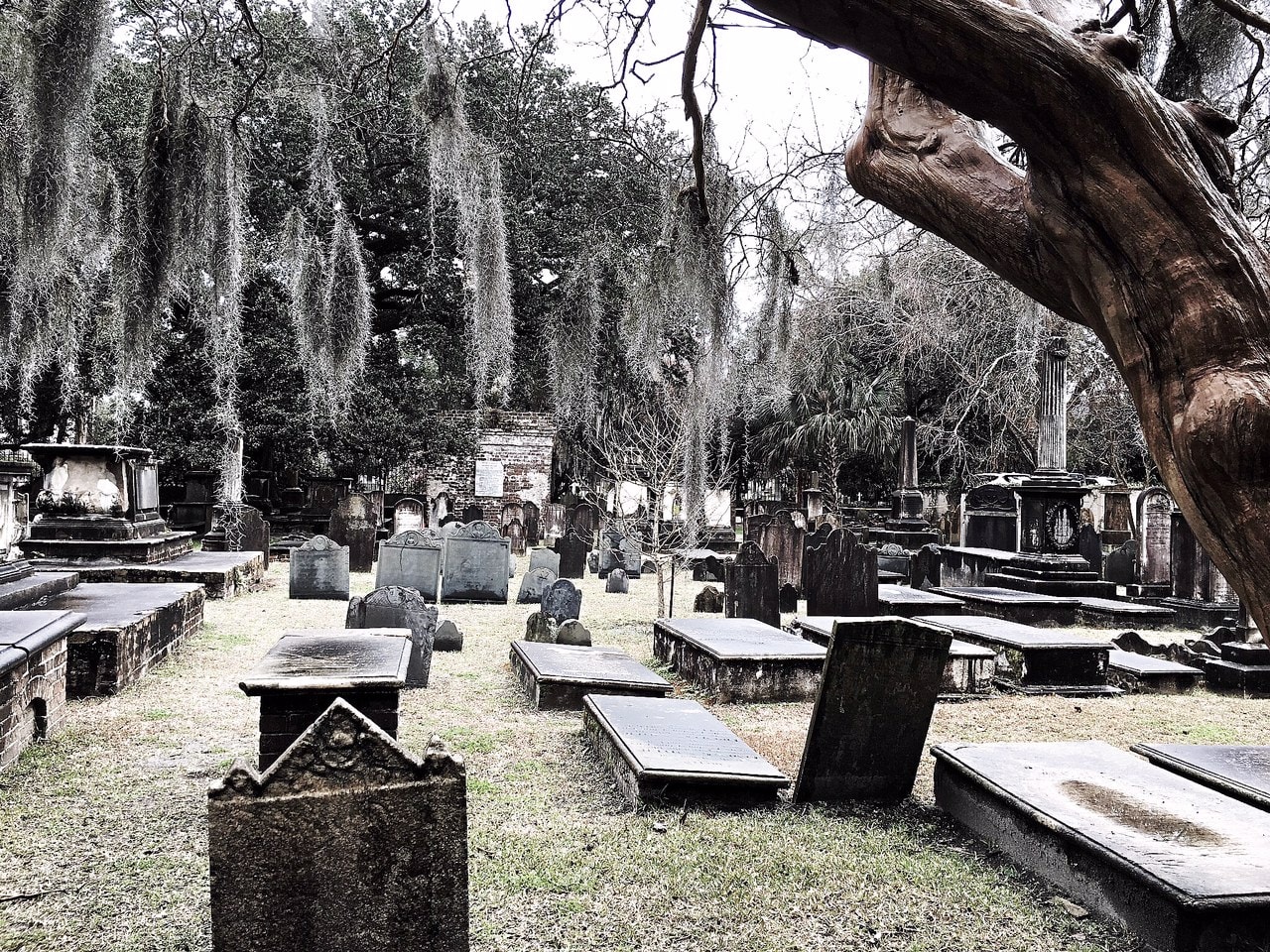 Charleston Cemetery I