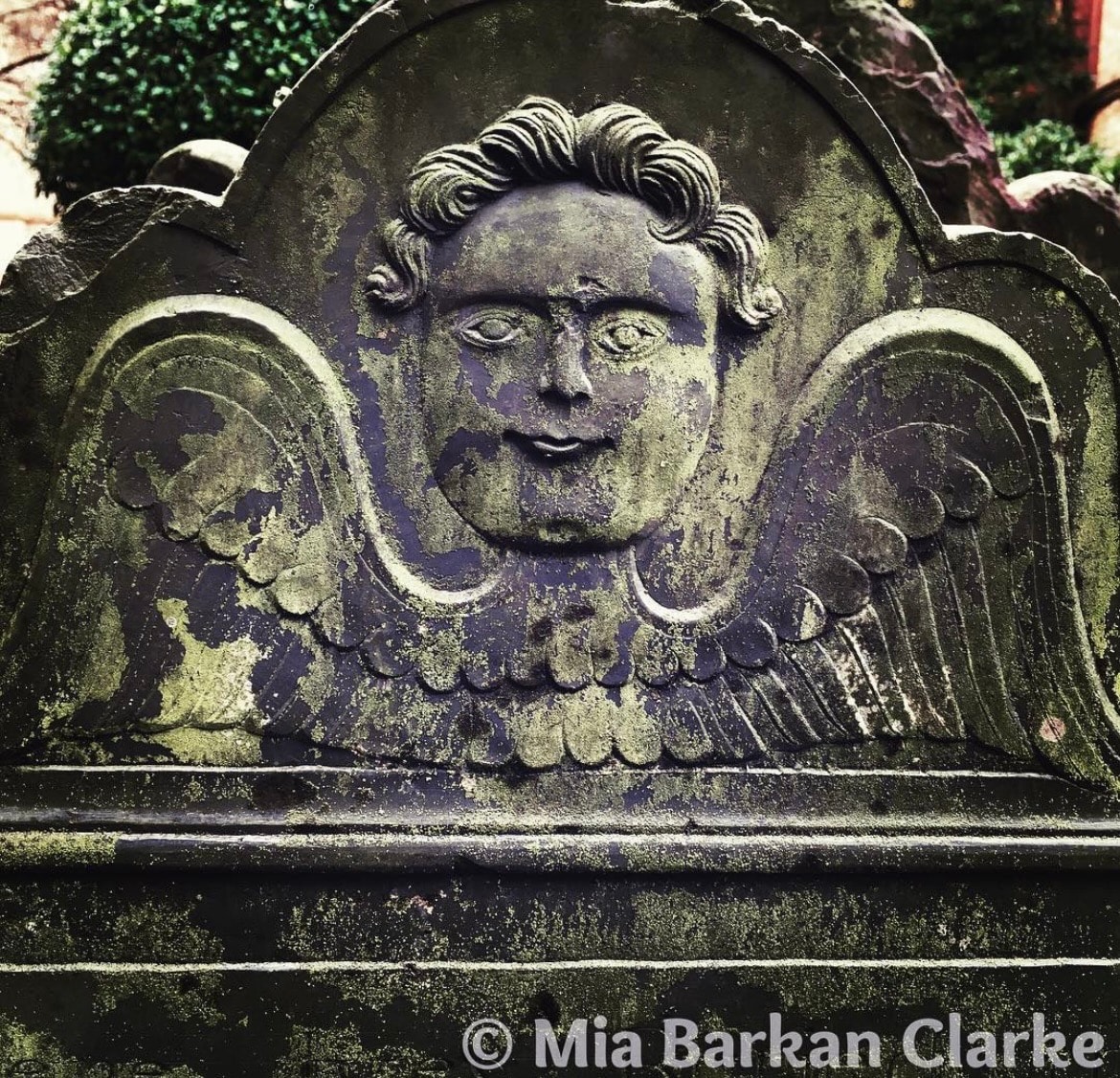 Charleston Cemetery VI