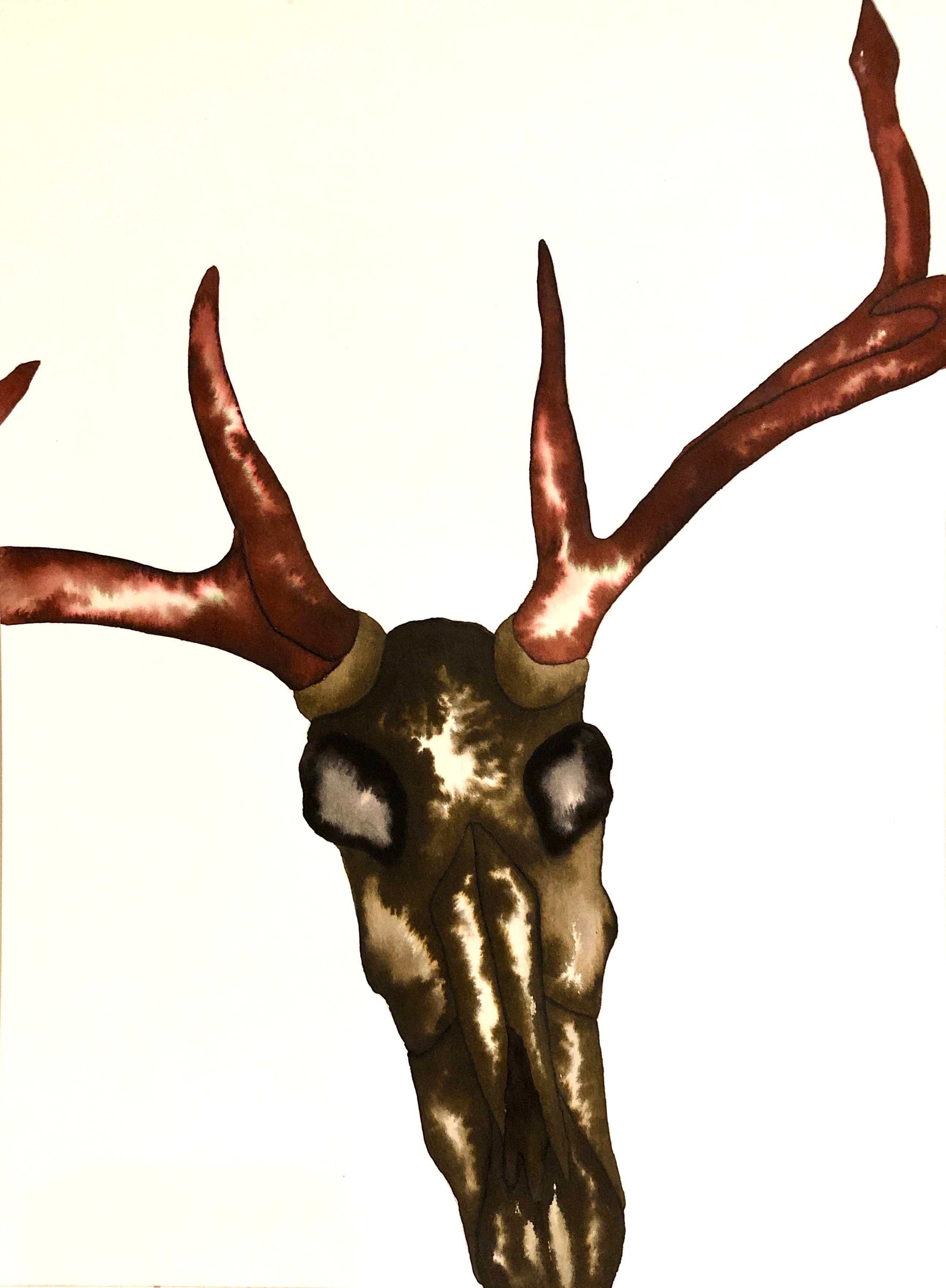 Buck Skull