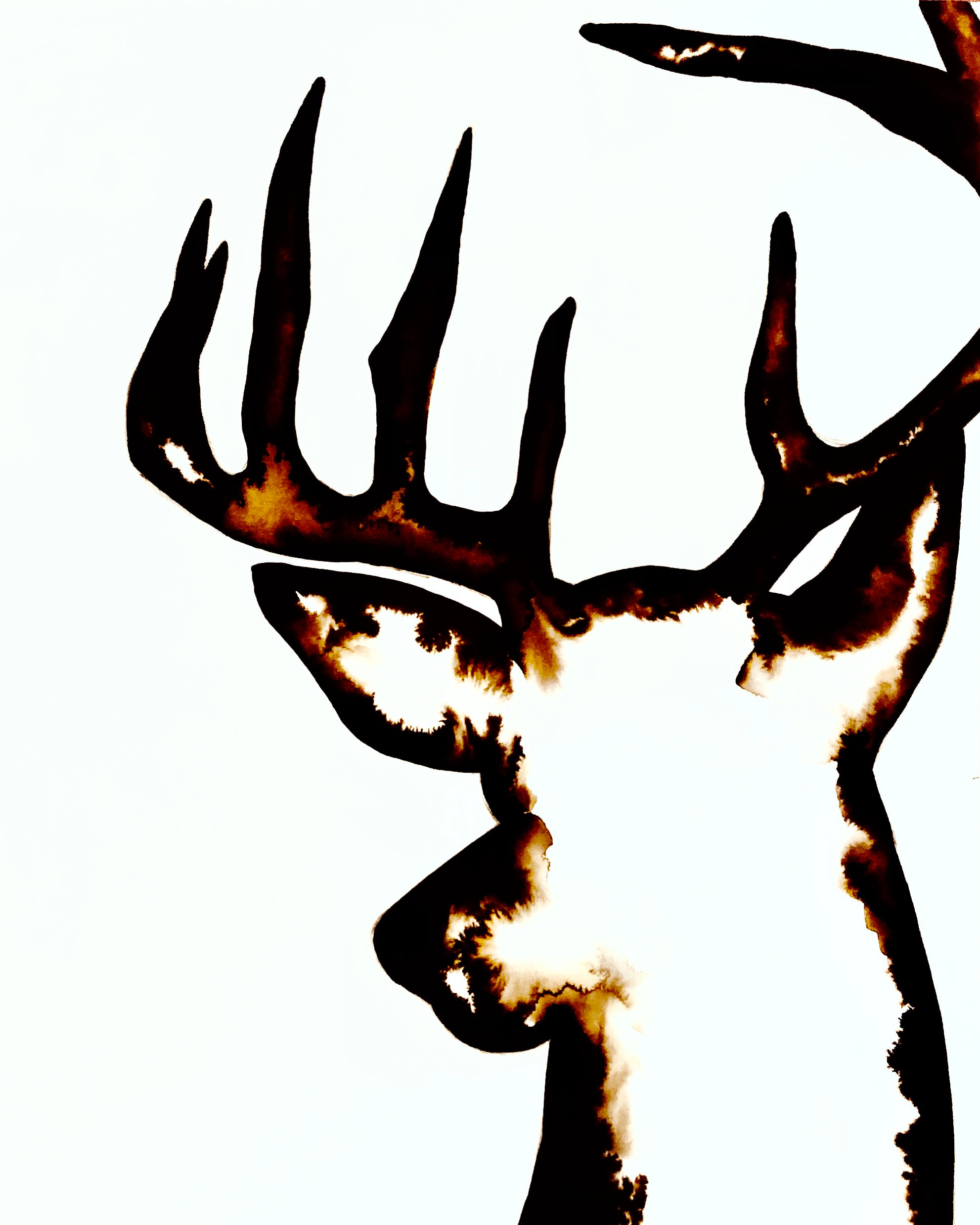 The Rut