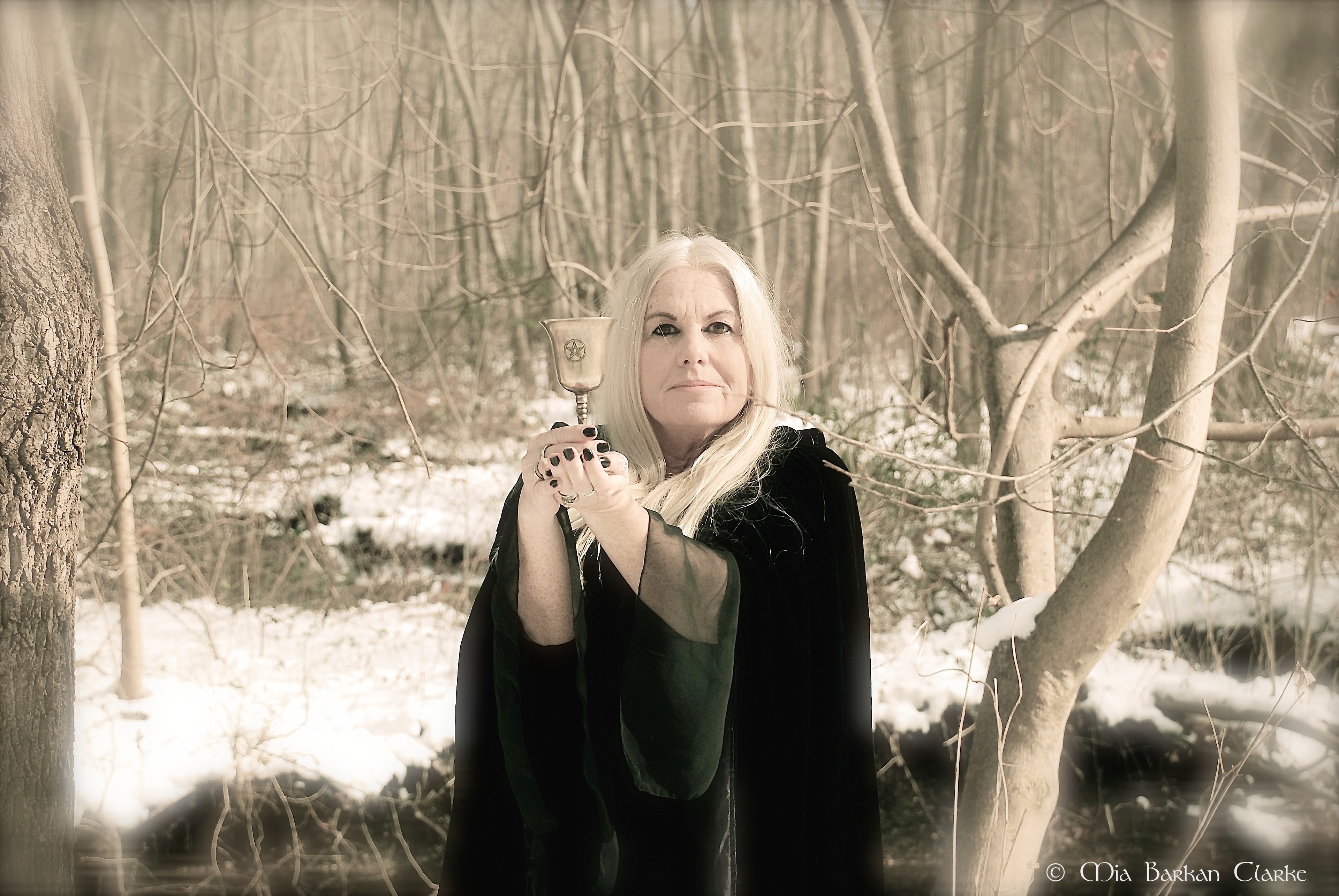 Winter Witch XII