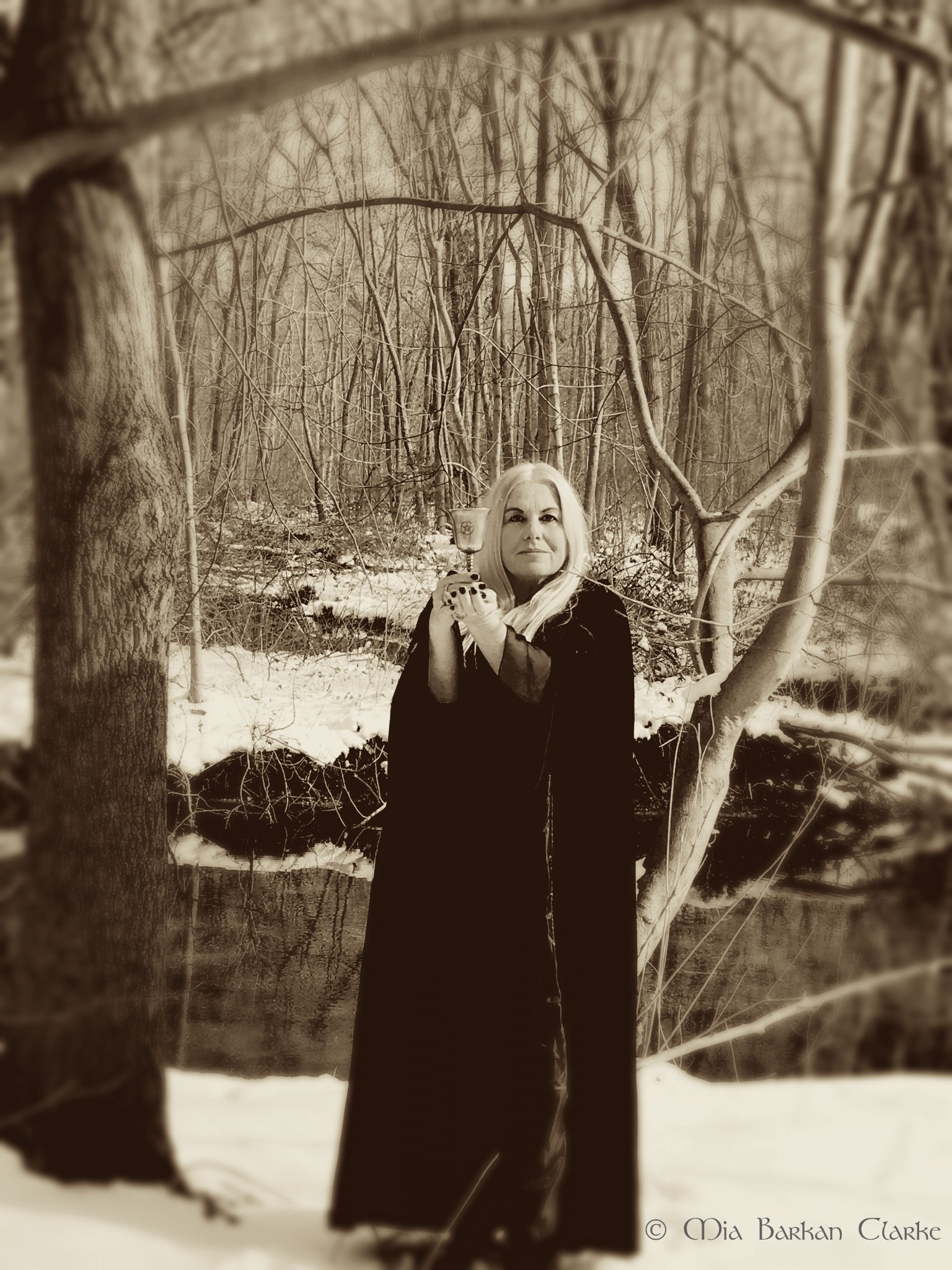 Winter Witch XV