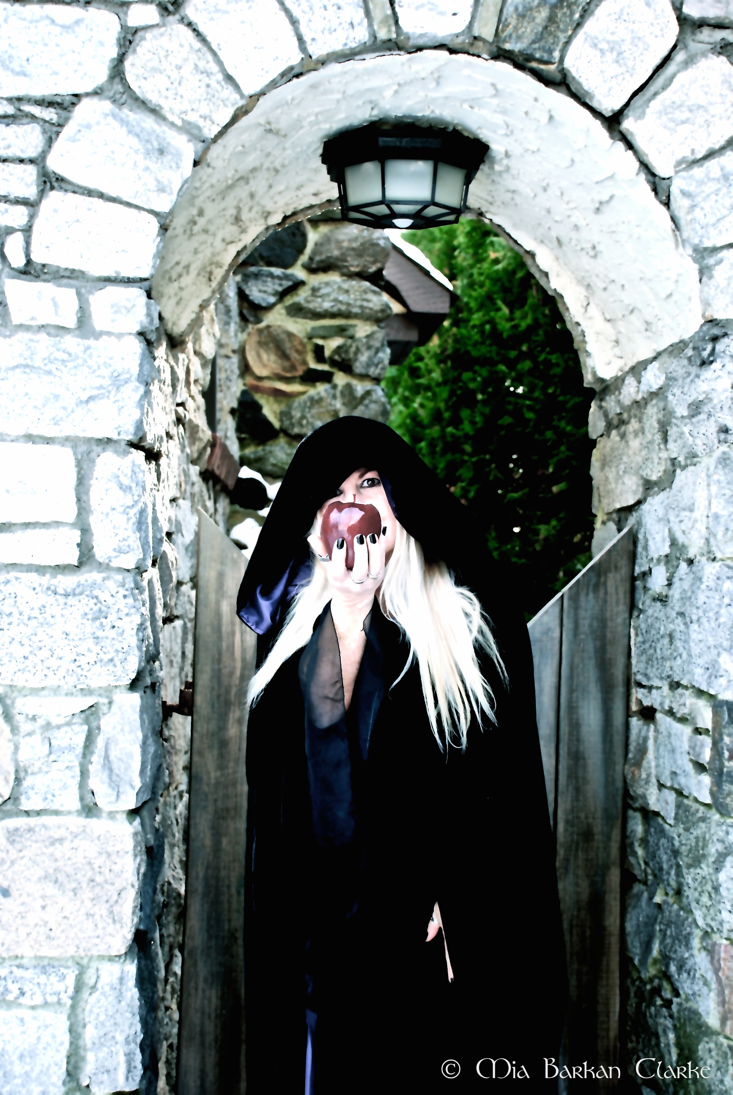 Wicked Witch