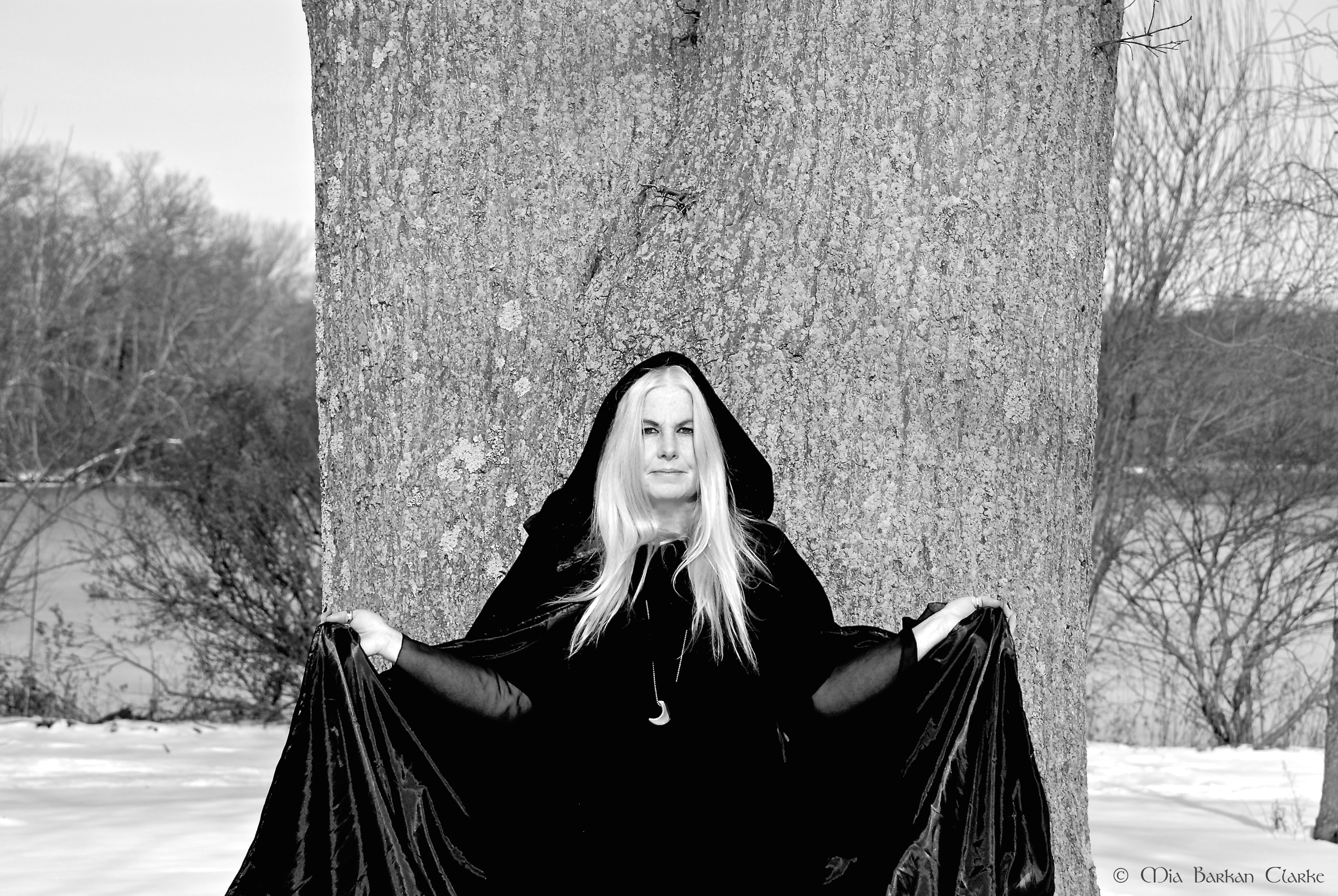 Winter Witch X