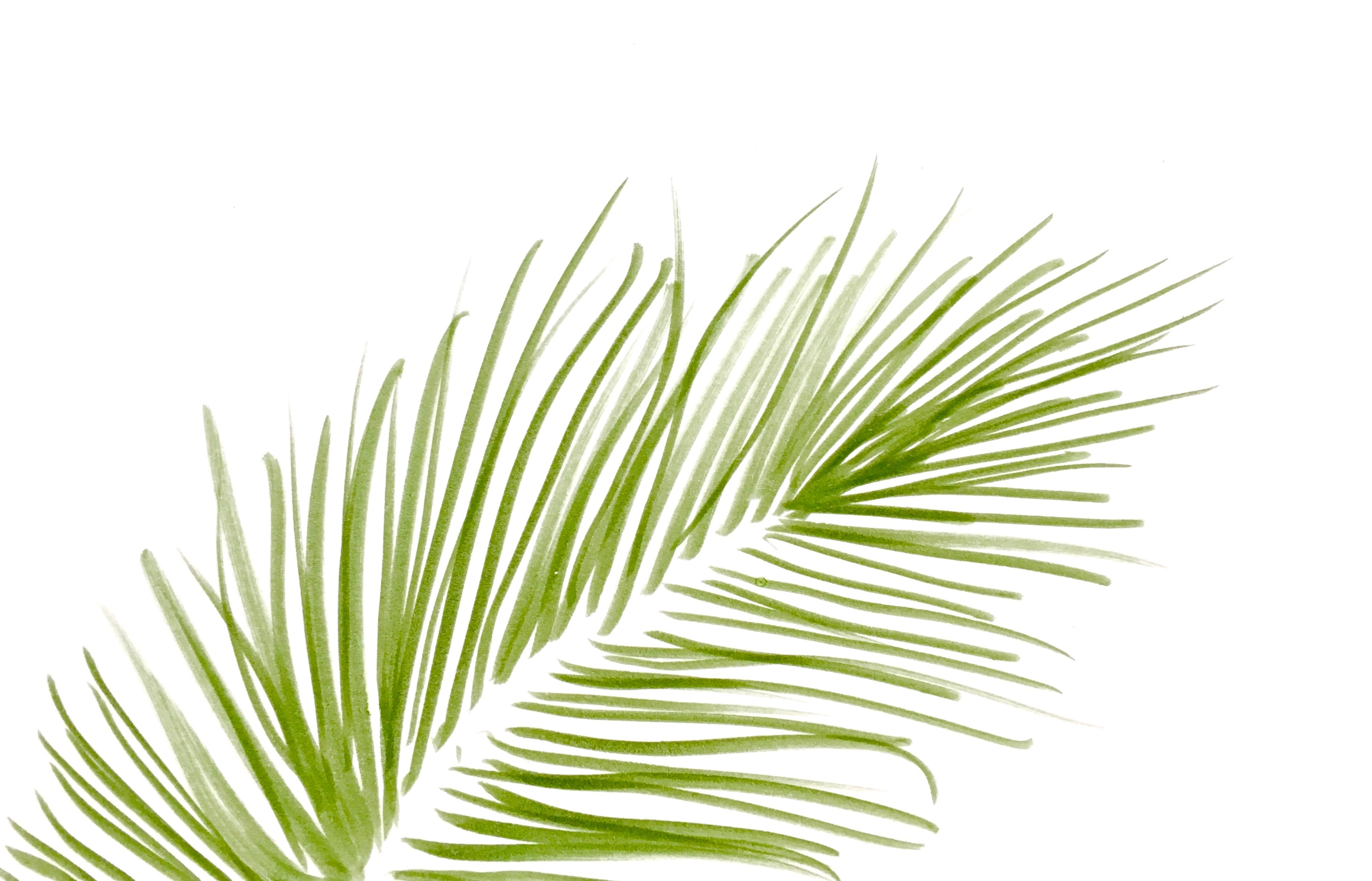 Moss Feather